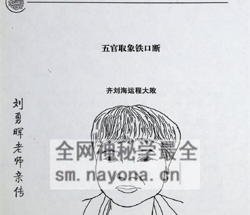 C393安徽相法之王者智慧PDF电子书331页