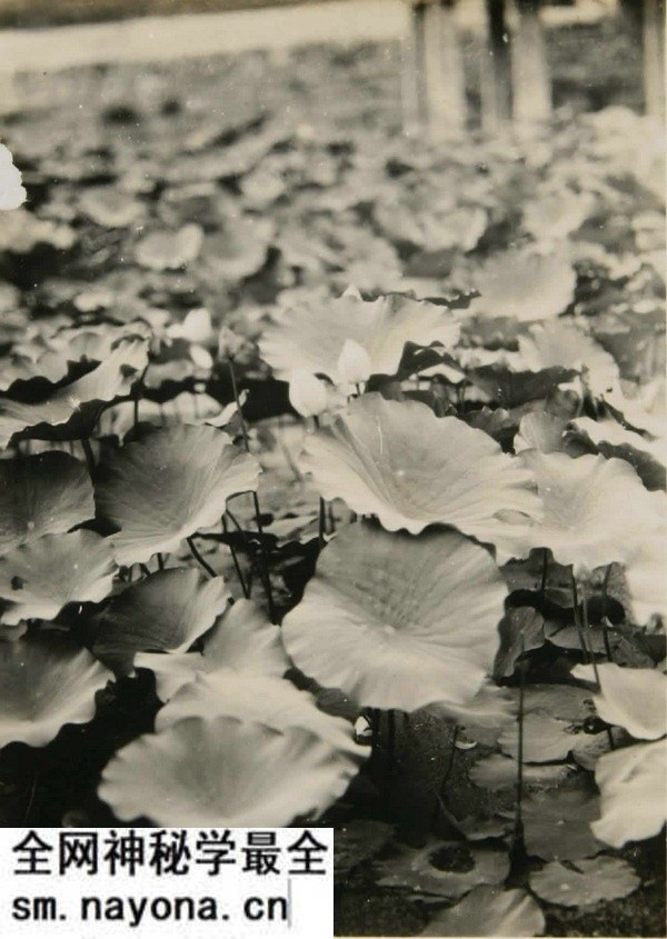 1929年安徽芜湖美丽风光照(上)预览图10 1929年安徽芜湖美丽风光照(上)预览图10