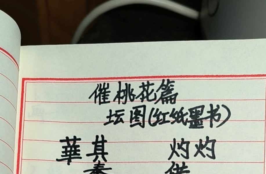 《桃花仙娘秘法和合姻缘-桃花仙娘符书法本-桃花娘娘》29页