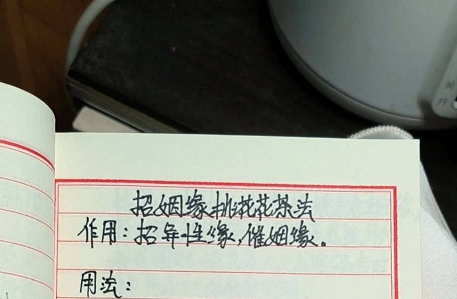 《桃花仙娘秘法和合姻缘-桃花仙娘符书法本-桃花娘娘》29页