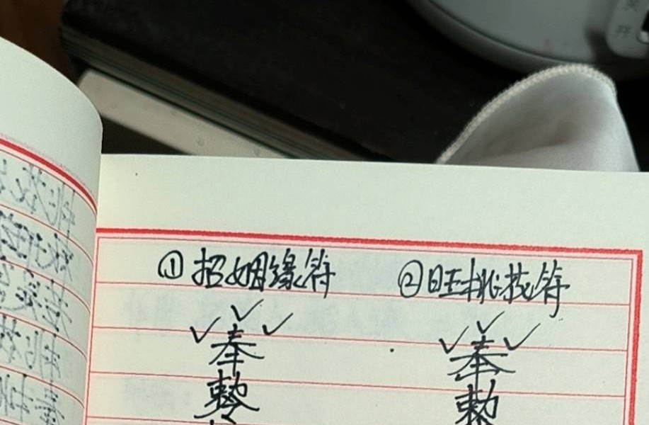 《桃花仙娘秘法和合姻缘-桃花仙娘符书法本-桃花娘娘》29页