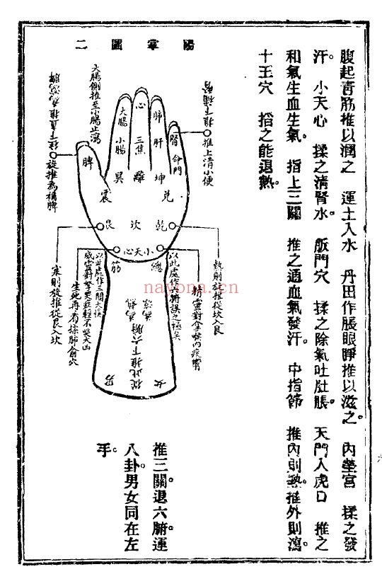 《推拿易知》55页 中医 第4张-古籍汇典 《推拿易知》55页 中医 第4张