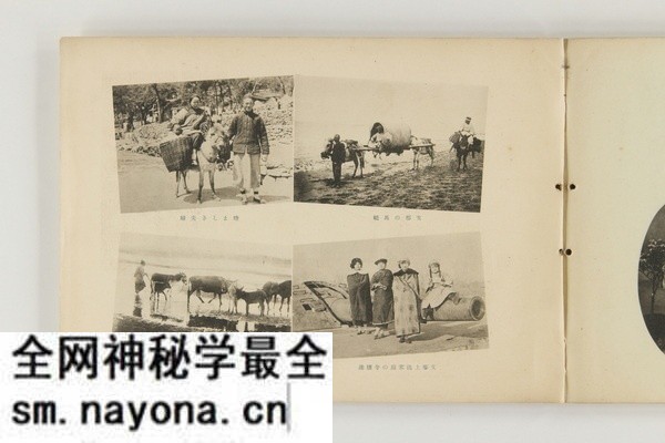 《山东省动乱纪念写真帖》1928年 影集下载预览图6 《山东省动乱纪念写真帖》1928年 影集下载预览图6