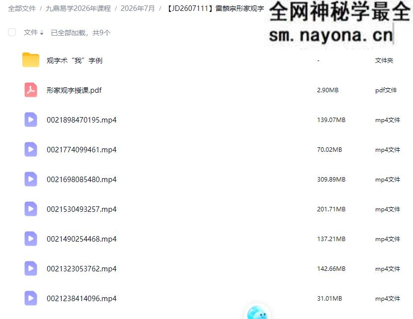 雷麟宗形家观字术视频+课件