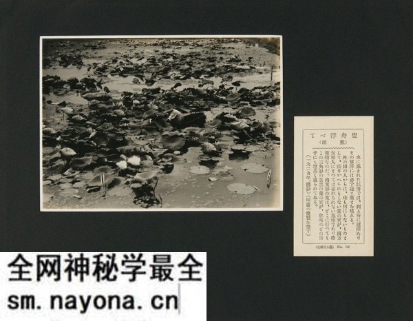 1929年安徽芜湖美丽风光照(中)预览图8 1929年安徽芜湖美丽风光照(中)预览图8