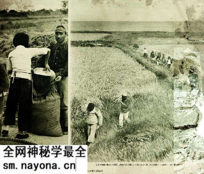 1937年淞沪会战(八·一三事变)影像资料大全预览图2 1937年淞沪会战(八·一三事变)影像资料大全预览图2