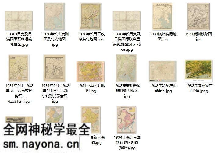 1931年九·一八事变影像资料大全预览图14