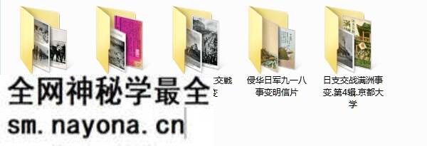1931年九·一八事变影像资料大全预览图11
