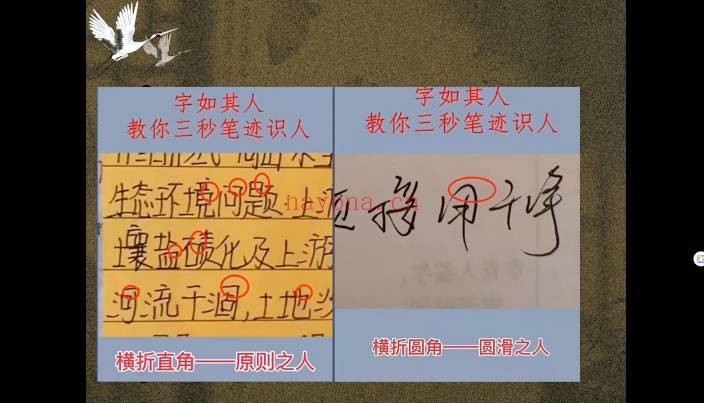 常哥说字笔迹识人教学11集视频 笔迹分析