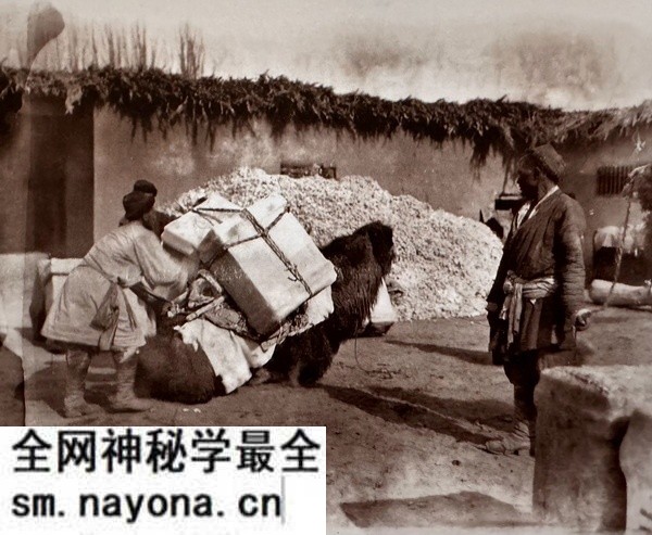 1914年德国考察队吐鲁番行拍摄的老照片(下)预览图6 1914年德国考察队吐鲁番行拍摄的老照片(下)预览图6