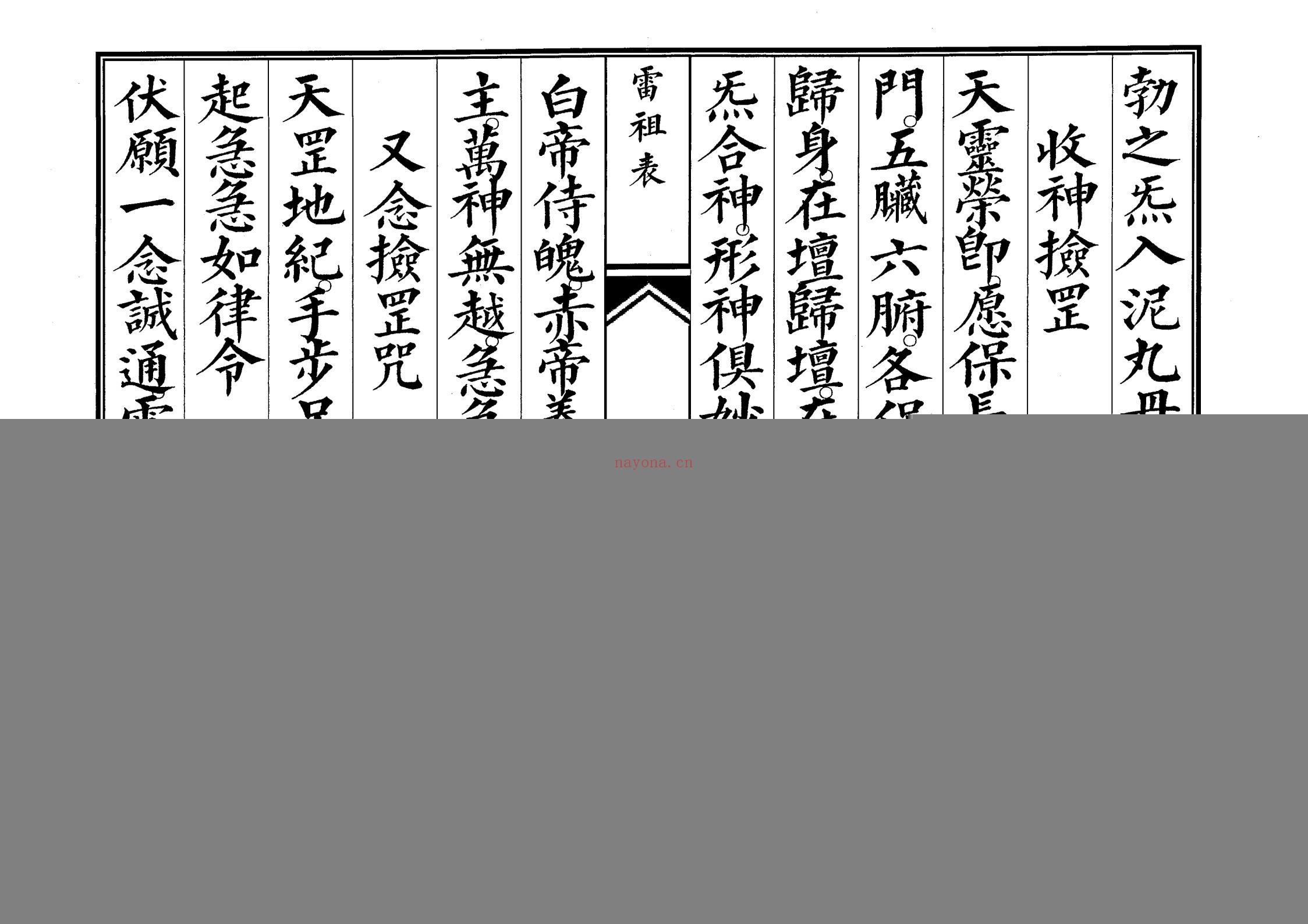 雷祖表科