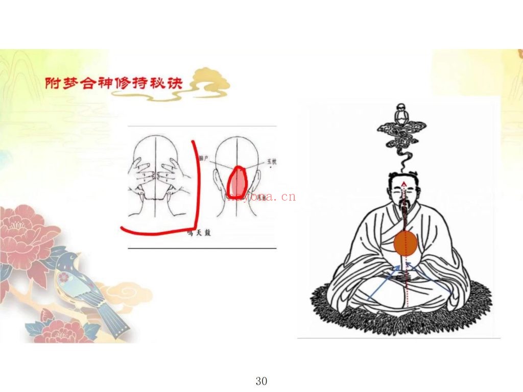 《太玄灵阳回梦一宗》视频+课件13