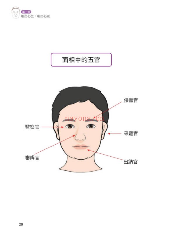 李建军解开手相密码解开面相密码2册PDF