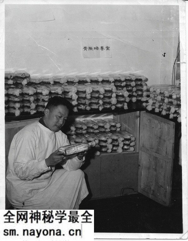 1944年昆明老照片 李约瑟拍摄的昆明西山(下)预览图23 1944年昆明老照片 李约瑟拍摄的昆明西山(下)预览图23