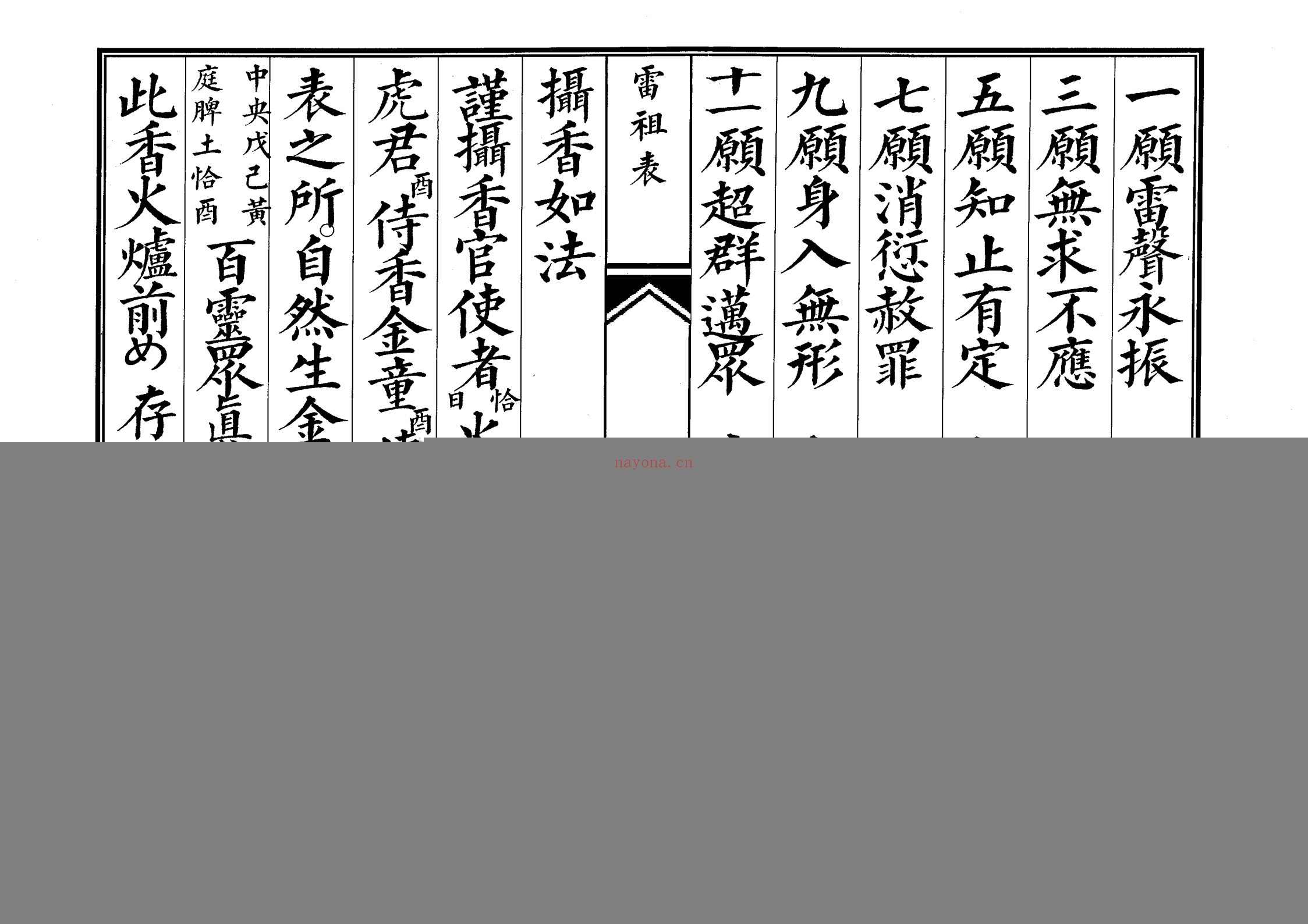 雷祖表科