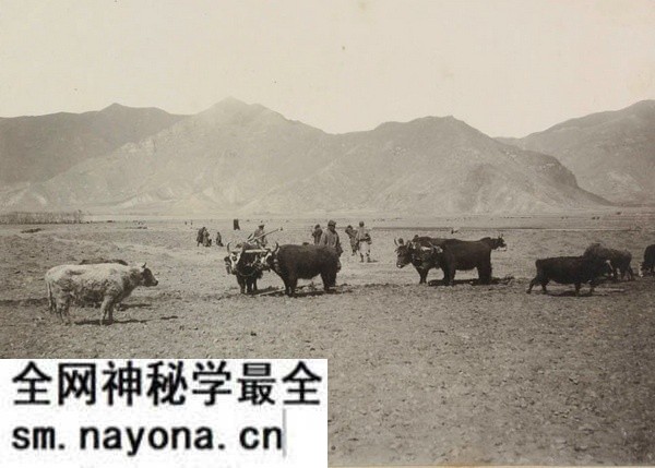 1901年西藏拉萨老照片 拉萨最早期真实影像(下)预览图23 1901年西藏拉萨老照片 拉萨最早期真实影像(下)预览图23
