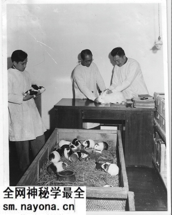 1944年昆明老照片 李约瑟拍摄的昆明西山(下)预览图20 1944年昆明老照片 李约瑟拍摄的昆明西山(下)预览图20