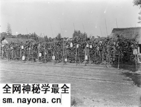 1908年成都老照片 清末时期的真实成都影像预览图4