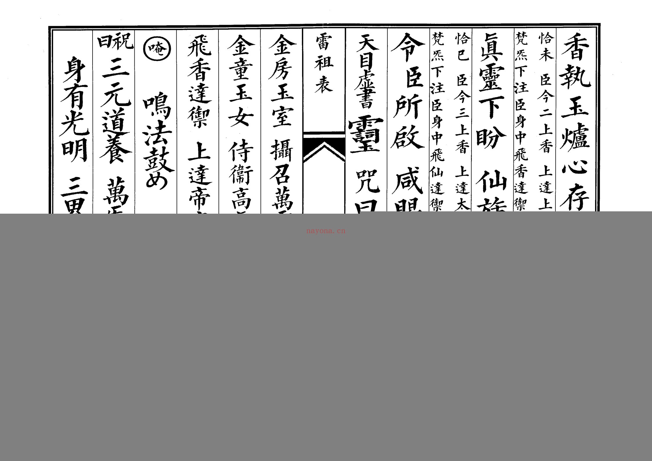 雷祖表科