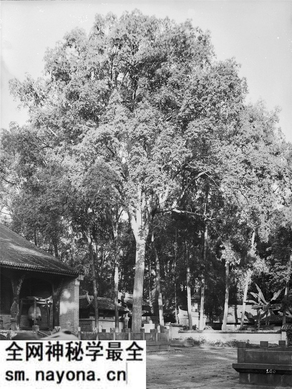 1908年成都老照片 清末时期的真实成都影像预览图14 1908年成都老照片 清末时期的真实成都影像预览图14