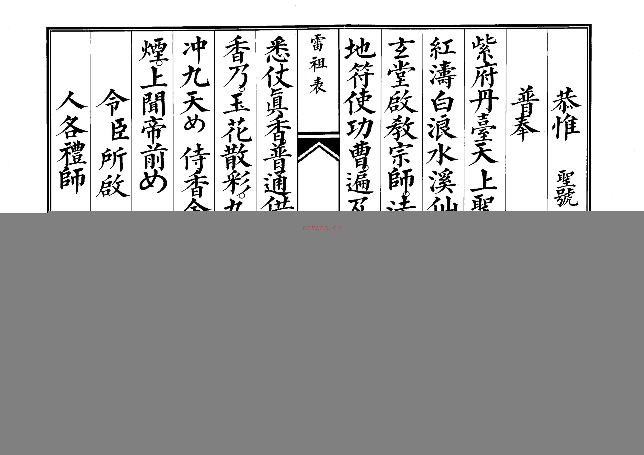 雷祖表科