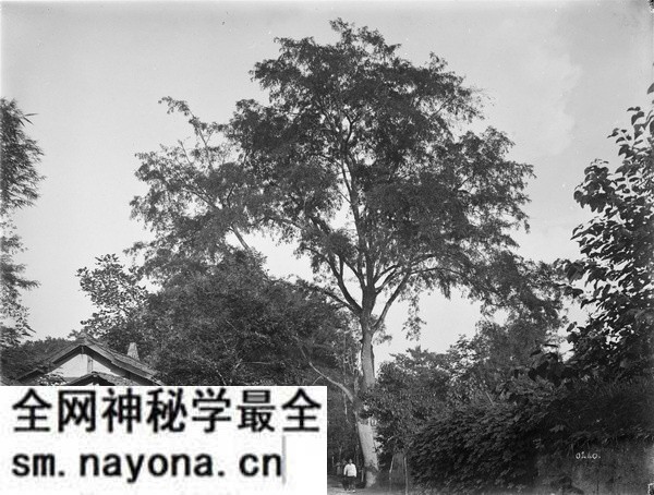 1908年成都老照片 清末时期的真实成都影像预览图11 1908年成都老照片 清末时期的真实成都影像预览图11