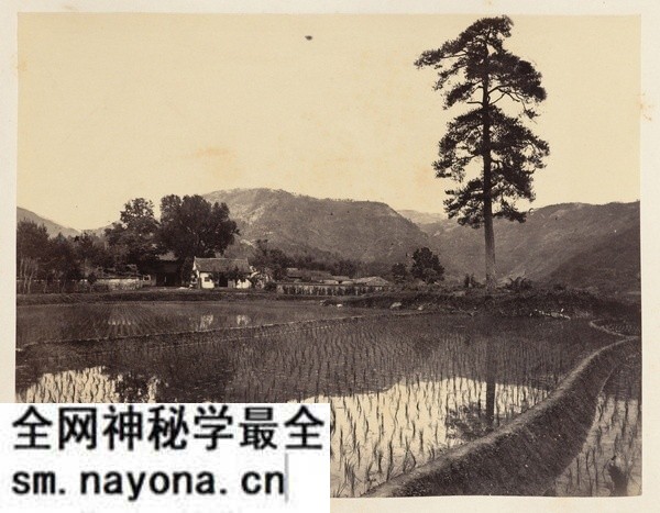 1876年宁波老照片 晚清江南水乡宁波风貌(中)预览图15 1876年宁波老照片 晚清江南水乡宁波风貌(中)预览图15