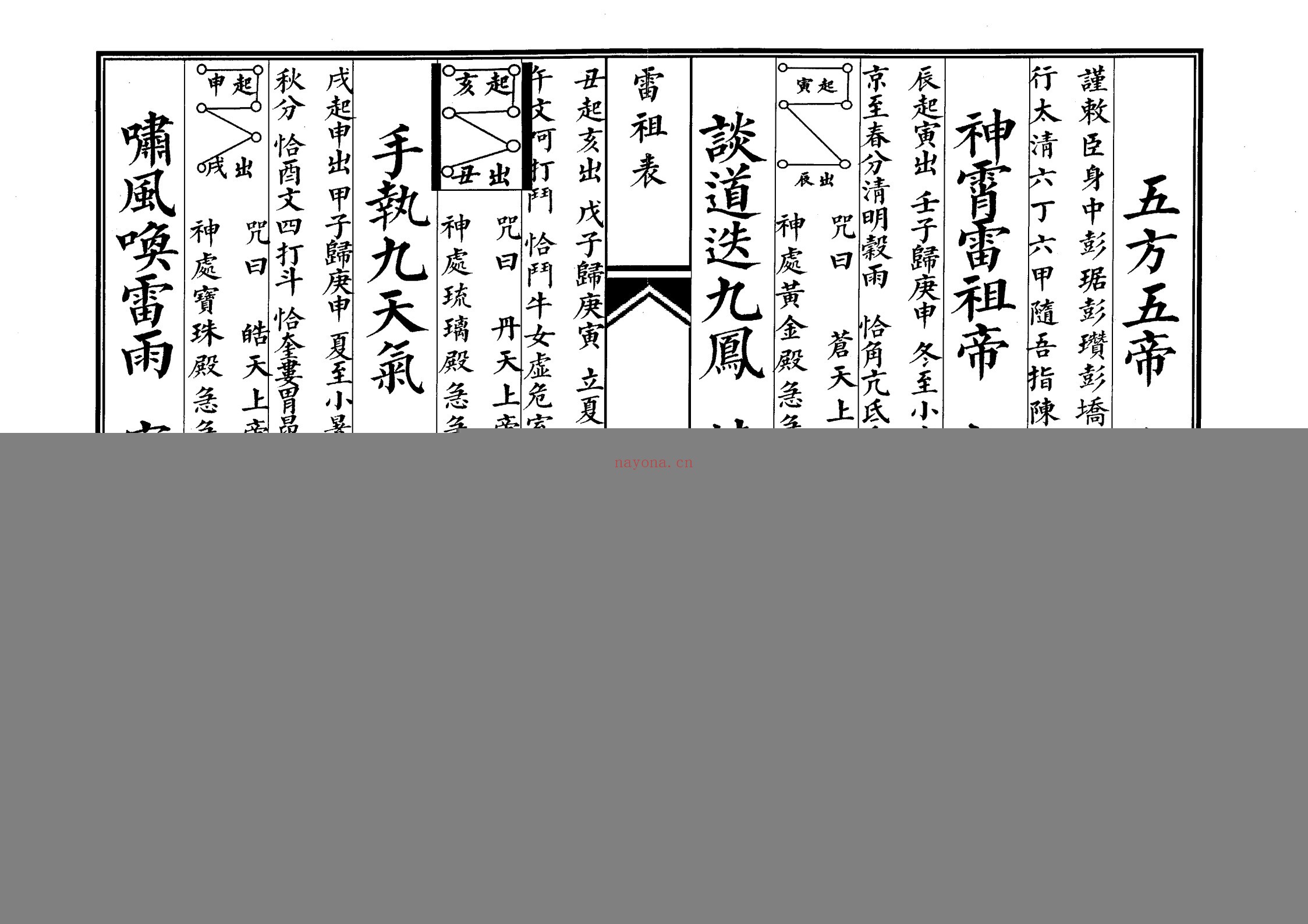 雷祖表科