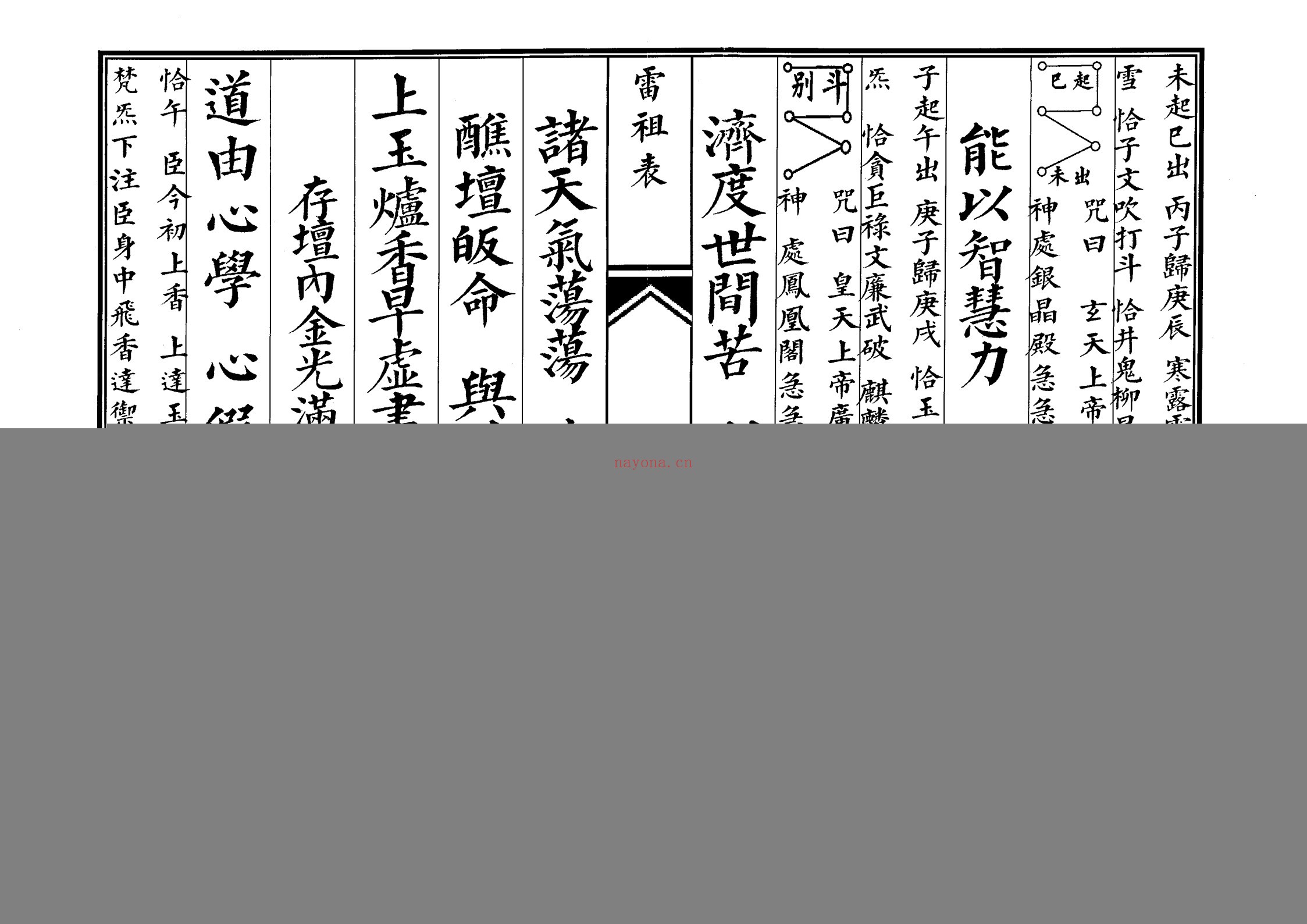 雷祖表科