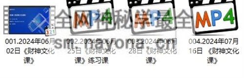 K2220颜法坤财神文化 视频4集