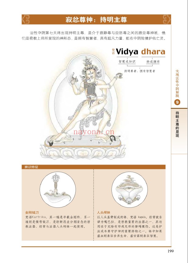 图解经典无上瑜伽pdf