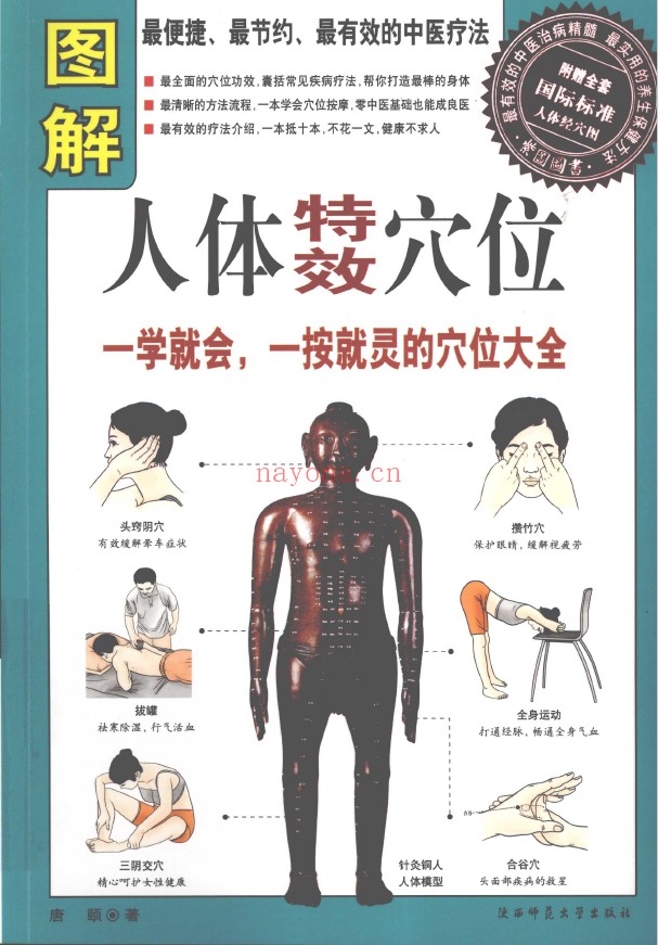 图解人体特效穴位pdf