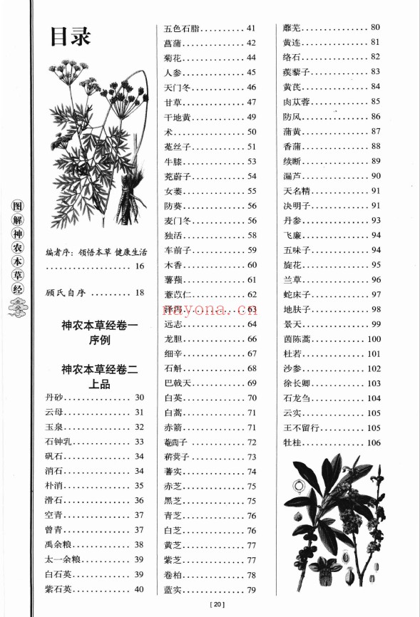 图解神农本草经 中国人信奉了五千年的养疗大典 超值白金版pdf