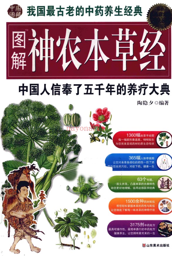 图解神农本草经 中国人信奉了五千年的养疗大典 超值白金版pdf