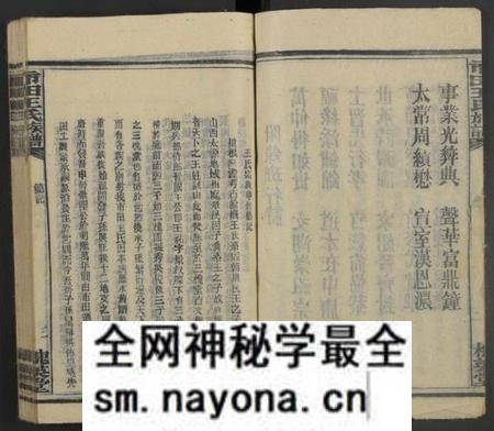 湖南王氏族谱-市田王氏八修族谱 [总卷数不详].pdf电子版预览图3