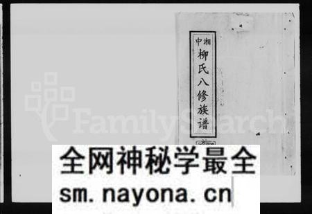 湖南柳氏族谱-湘中柳氏八修族谱 [卷首].pdf电子版预览图1