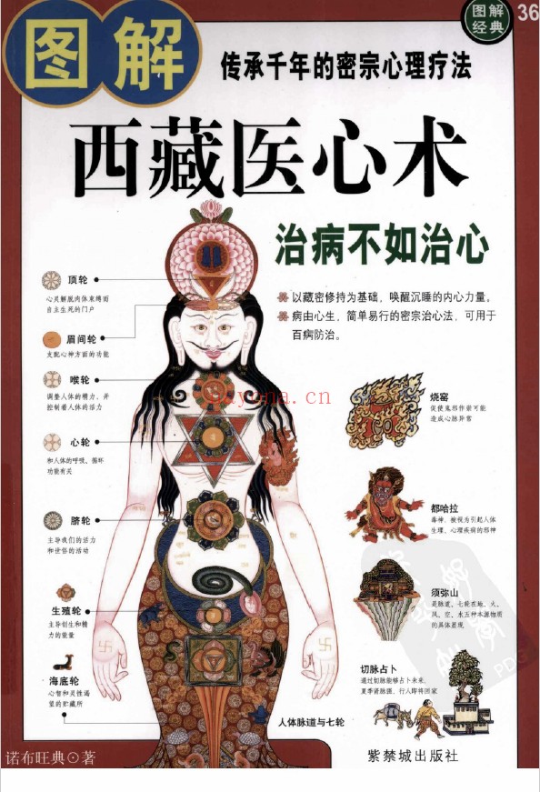 图解西藏医心术 做自己的心灵神医pdf