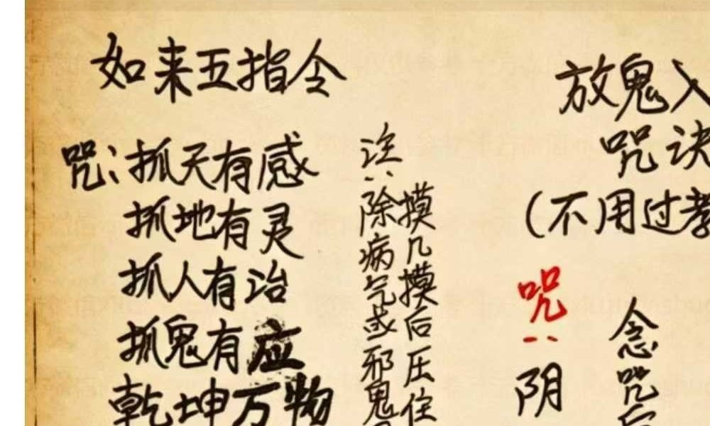 《西天佛法大佛教》65页
