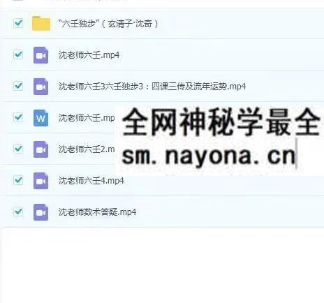 玄清子 沈奇六壬独步 视频+文档