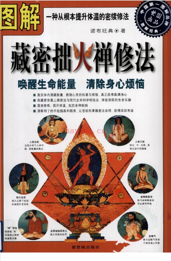 图解经典藏密拙火禅修法pdf