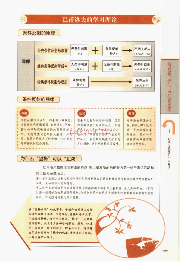 图解心理学pdf