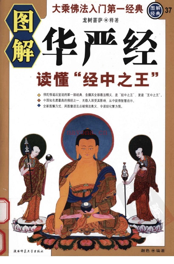 图解华严经：读懂“经中之王” (龙树菩萨释着)pdf