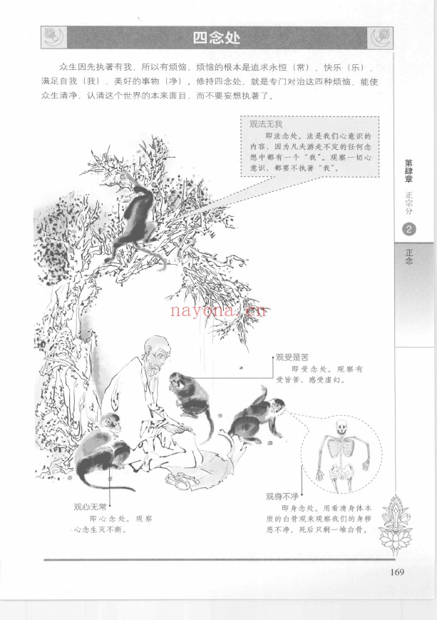 图解圆觉经pdf