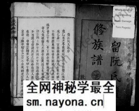 湖南阮氏族谱-阮氏族谱.pdf电子版预览图3