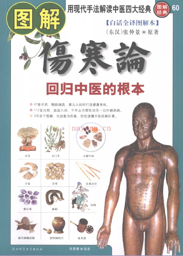 图解伤寒论  回归中医的根本pdf