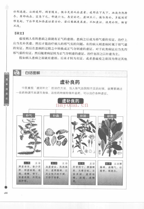 图解温疫论pdf