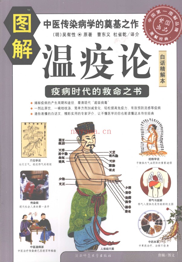 图解温疫论pdf