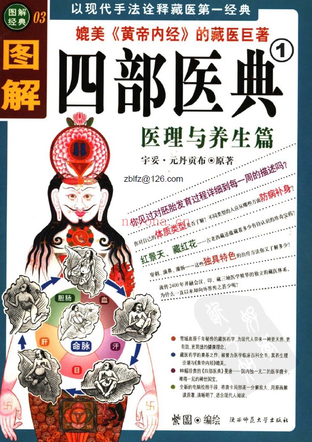 图解四部医典 第1部医理与养生篇 第2部秘法与实用篇（2册全套）pdf