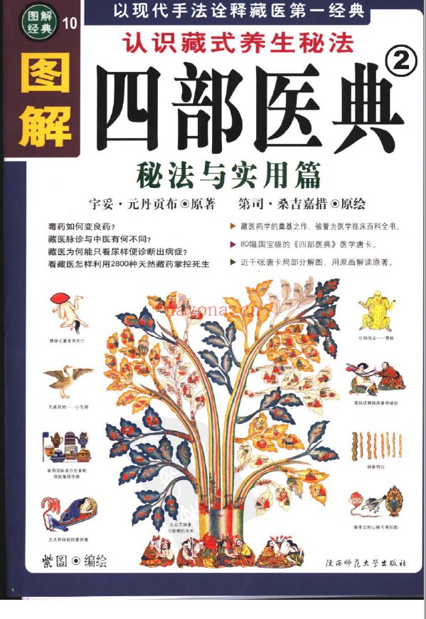 图解四部医典 第1部医理与养生篇 第2部秘法与实用篇（2册全套）pdf
