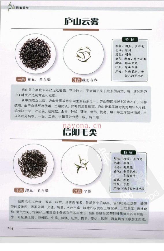 图解茶经：认识正宗中国茶文化的经典pdf